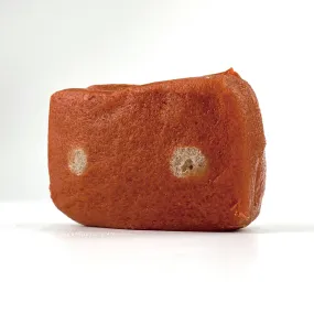 Enucleation Model