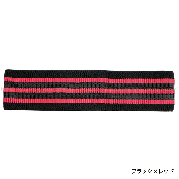 ESYDHBB Sylvia Hip Band